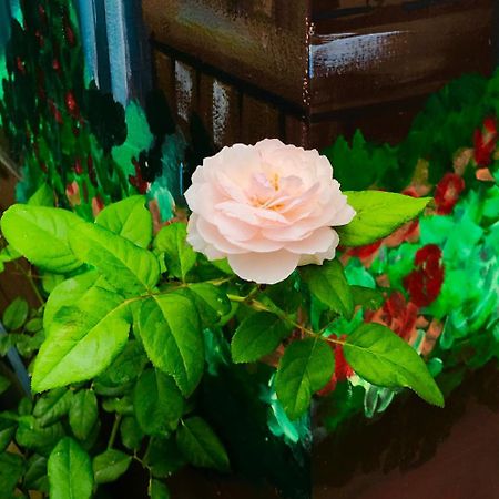 Gia Hung Motel Vung Tau Kültér fotó